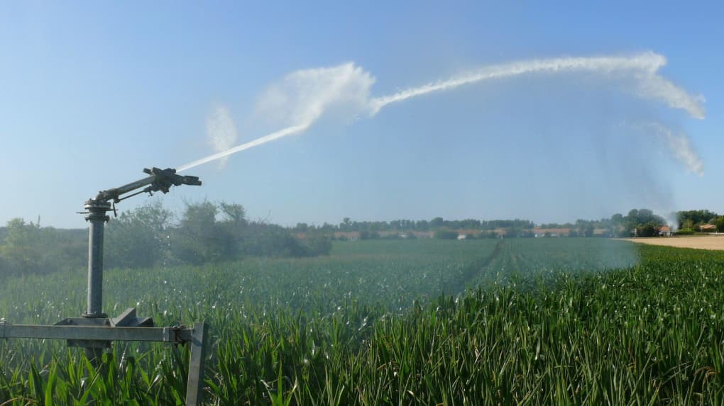 Zwitsers knal merk Het kiezen van uw irrigatiesysteem