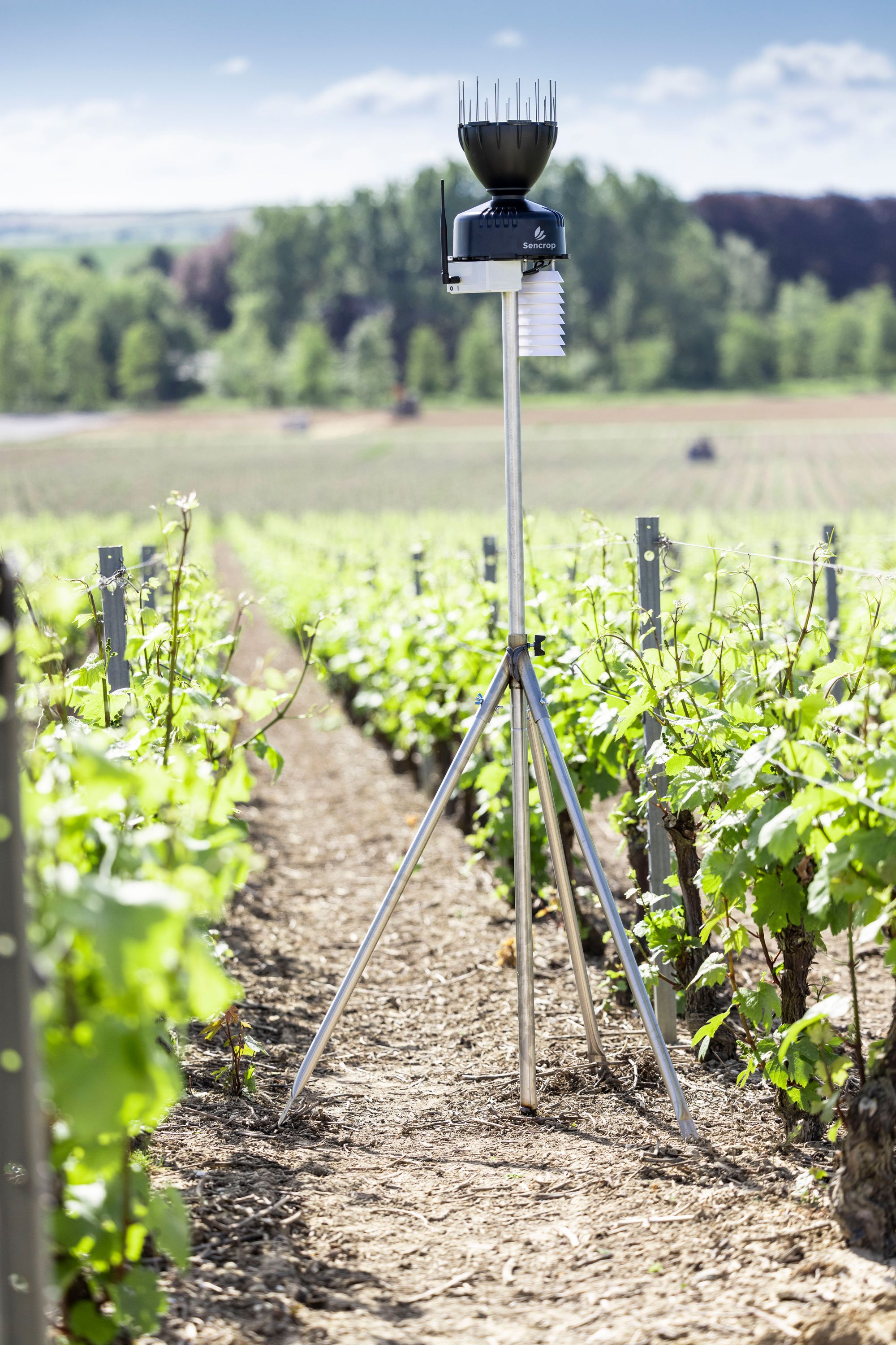 How do we guarantee the accuracy of Sencrop ag-weather stations?